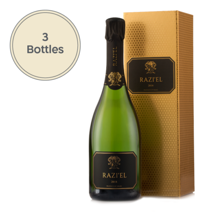 RAZI'EL VINTAGE 2019<br><h4>3 בקבוקים</h4>